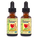 Dětský život ESSENTIALS Echinacea pro děti - Děti Echinacea kapky, tekuté tinktura, Alkohol zdarma dodatek pro děti, Toddlers, děti - přírodní pomeranč, 1 Fl Oz (balení po 2)