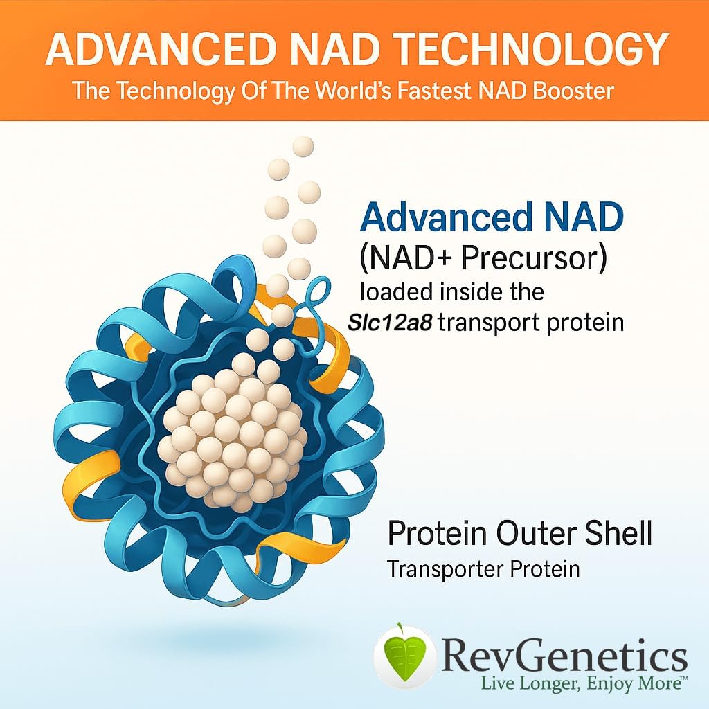 REVGENETICS Advanced NAD + dodatek, 60 Kapsle - Dietní dodatek pro zdravé stárnutí a dlouhověkost