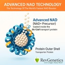 REVGENETICS Advanced NAD + dodatek, 60 Kapsle - Dietní dodatek pro zdravé stárnutí a dlouhověkost