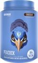 BIRDMAN Peacock Vegan Protein Powder 124; Kompletní stravy na bázi rostlin Shake s hořčíkem, Vitamin D, MCT Oil 124; Vše v jednom dodatku pro muže a ženy 124; hladká textura 124; Čokoláda Flavor