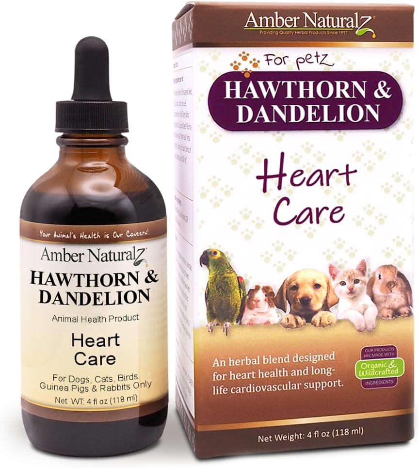 Amber NaturalZ Hawthorn & Pampeliška Bylinný dodatek pro psy, kočky, ptáci, králíci, a Guinea Prasata 124; Podporuje srdeční zdraví, oběh a rovnováhu tekutin 124; Přírodní kardiovaskulární péče