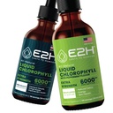 E2H: Liquid Chlorofyl Natural Flavor and Peppermint Flavor IR 124; Vegan, Non- GMO - 2 Fl Oz Each (4 Fl Oz Total) - Bundle