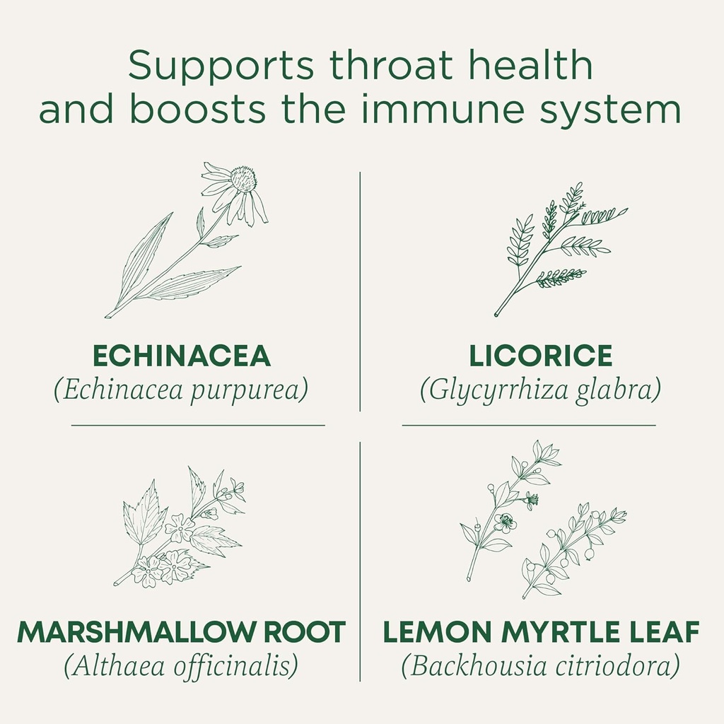 Tradiční léky Lozenges, Organic Krční plášť Lemon Ginger Echinacea, Sore Krční Podpora, 16 Počet (balení po 2)