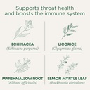 Tradiční léky Lozenges, Organic Krční plášť Lemon Ginger Echinacea, Sore Krční Podpora, 16 Počet (balení po 2)