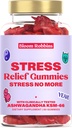 Ashwagandha Gummies - Stress Relief Gummies with Ashwagandha KSM-66 & Lemon Balm Extract - Stress Gummies & Clime Gummies with KSM-66 - Vegan Relaxation Ashwaganda Gummies (60count)