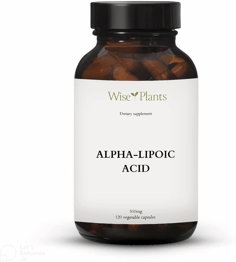 Alpha- Lipoová kyselina - Non- GMO - 500mg, 120 Služeb (4 měsíce dodávky), Energetické úrovně, Podpora Mitochondria