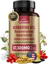 Premium Berberine dodatek s Resveratrol Quercetin Alpha Lipoic Acid - 50: 1 Berberine HCl Komplexní potentní antioxidanty, polyfenoly, Vitality Boost - 90 Vegan Tablety, Non- GMO, gluten- zdarma