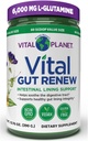 Vital Planet - Vital Gut Reew Powder Supplement for Leaky Gut Repair with L-glutamin, Marshmallow and Ginger Root, DGL Licorice Root and Organic Aloe Vera, L Glutamine 6000mg 13.76 oz