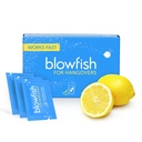 Blowfish for Hangovers - Rychlá pomoc při kocovině v 15 minutách 124; Bolest hlavy Relief, Energie, a Hydratace v jednom kroku 124; Single Box