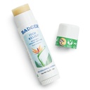 Badger Bug Bite Itch Relief Stick, Natural & Organic Anti Itch Cream for Bug Bites, Rashes & Poison Ivy, Fast Itchy Skin Relief After Bite, Funguje skvěle, Voní skvěle, snadné použití, .6 oz