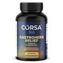 Gastroherb Relief 7 Byliny Extract - Imunitní Supplement Independence Health Gut - Imunita Dodatek pro muže a ženy - Natural St Johns Wort, Licorice Root, Rose Hip Oils - 90 Softgels