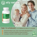 Vegan Prenatal DHA 440mg - Lutein 20mg pro těhotenství - Non- GMO Prenatal Multivitamin pro těhotné ženy - Podpora zdravého mozku, očí a srdce ve vývoji dítěte - 60 Softgels