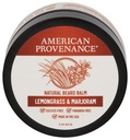 Americký Provenance Premium přírodní vousy a Mustache Balzám pro muže s Shea máslo, Jojoba Oil, Argan Oil - Grooming Balm, že podmínky, Moisturizes a Strettens Vousy a kníry libovolné délky 124; Lemongrass & Marjoram, 2 oz (balení po 1)