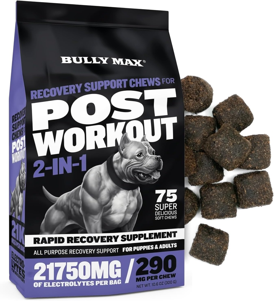Bully Max 2-in-1 Post- Workout Recovery Support Chews - Dog Vitamíny a doplněk stravy pro malé a velké plemeno - Štěně a dospělý pes Hydration & Electrolyte doplnění - 75 Měkké a chutné Chews