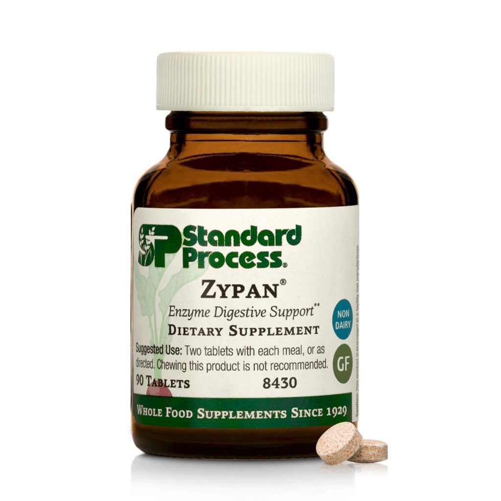 Standardní proces Zypan - Dodatek pro podporu trávicího zdraví - HCI dodatek s Pankreatinem, Betaine Hydrochloride & Pepsin - Podpora makronutrientu - 90 tablet