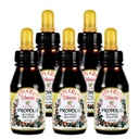 Oficiální distributor - 5 Lahve Apiario Silvestre Brazilské zelené Bee Propolis tekuté glykolické extract- non alkoholik, Wax Free, cukr zdarma (PG)