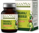 Banyan Botanicals Yogaraj Guggulu - Organic Joint Support Supplementary -Ayurvedic Blend pro podporu skeletální a neuromuskulární systémy * - 90 Tablet - Non- GMO, Udržitelně sourced, Vegan