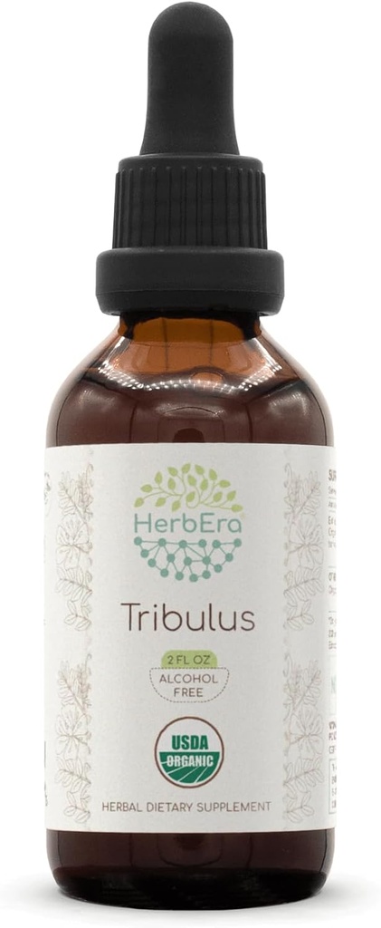 HerbEra Tribulus B60 Alcohol- Free Bylinný extrakt tinktura, Koncentrované kapalné kapky přírodní USDA Organic Tribulus (Tribulus Terrestris) Sušené ovoce (2 fl oz)