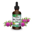 Odpověď přírody Mléko Thistle 2 Ounce Extract - Alkohol zdarma, non GMO, Játra Supplement pro každého - Detox jater, Made in USA