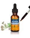 Herb Pharm Organic Valerian Root Liquid Extract, Alcohol- Free: Sleep & Relaxing, Calming Nighttime Sleep Supplement, Sugar- Free Bylinný dodatek, 1 Oz