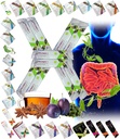 All Natural Detox Cleanse Instant Tea Mix Prune & Plum w. Fiber & Inulin pro optimální střevní tranzit Fuxion Prunex 1 (10 Sachets)
