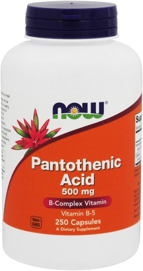 Foods Pantothenic Acid, 250 caps / 500 mg (Balení po 2)