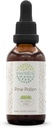 HerbEra Pine Pollen B60 Alkohol zdarma Bylinný extrakt tinktura, Koncentrované kapalné kapky přírodní (Song Hua Fen, Skot Pine, Pinus Sylvestris) 2 fl oz