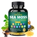 Bualle Irish Sea Moss Kapsle - Organic Sea Moss, Black Seed Oil, Ashwagandha Doplňky s Bladderwrack, Ginger & Burdock Root - Podporuje Daily Wellness, Skin & Energy - 150 Kapsle (1 balení)