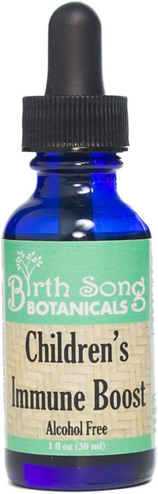 Birth Song Botanicals Children's Immune Boost Tincture*, Kids Immune System Support Supplement with Echinacea, Liquid Herbal Immune Drops for Kids, Children's Echinacea Herb Immune Formula 1oz Bottle