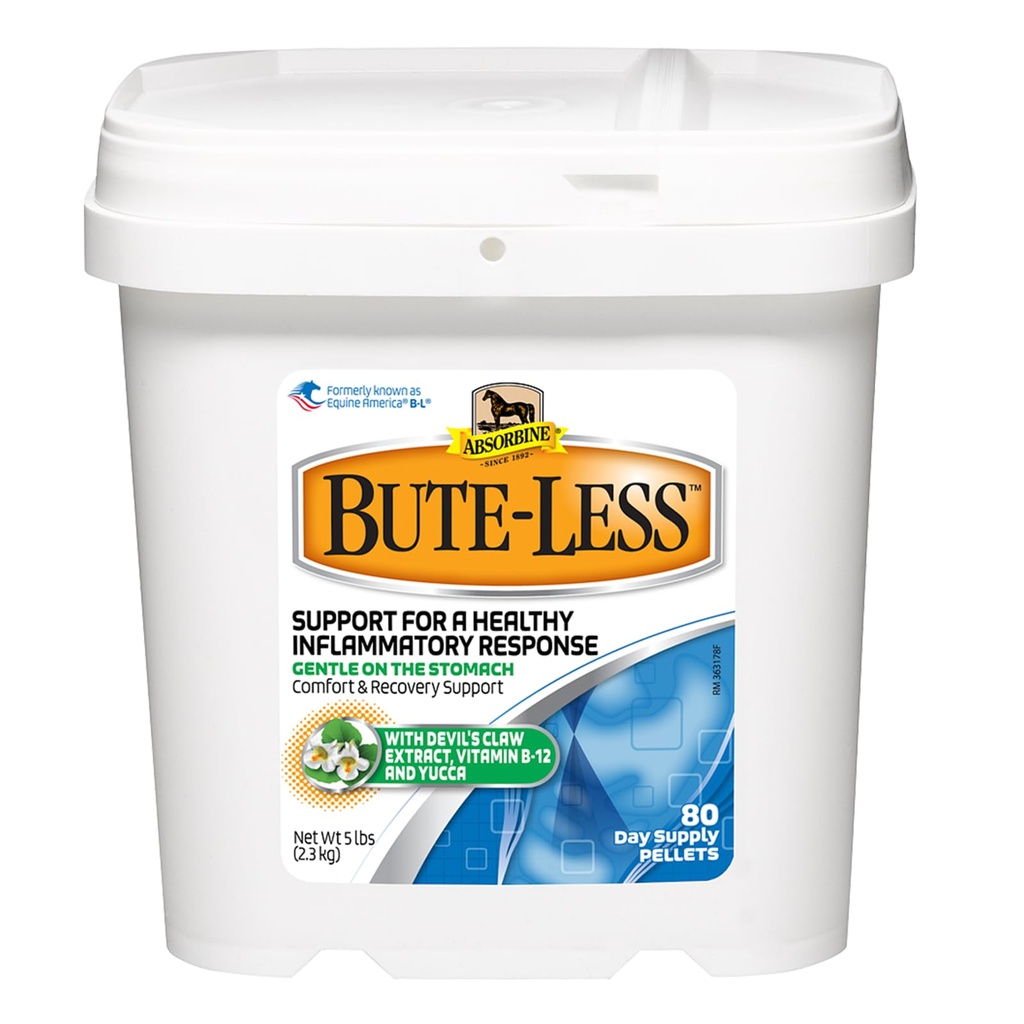 Absorbin Bute- menší komfort & Recovery Dodatek Pelety, Zdravá zánětlivá reakce, 5 liber / 80 Den Dodávka