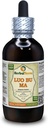 Luo Bu Ma, Dogbane (Apocynum Venetum), tinktura, sušený listí tekutý extrakt (značka: HerbalTerra, Proroudly Made in USA) 4 fl.oz (120 ml)