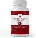 PURE Original INGREDIENTS Devil 's Claw Extract, (100 Kapsle) Vždy čisté, žádné přísady nebo plnidla, Laboratoř ověřen