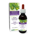 Naturalma Rhoddiola rosea (Sedum roseum) Root Alcohol- Free Tincture - 4 fl oz Liquid Extract in Drops - Bylinný dodatek - Vegan