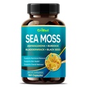 Premium Moss Moss s Ashwagandha, Burdock Bladderwrack, Black Seed for Imunitary System, Skin, Digestion & Energy-Made in The USA (150 Počet (balení po 1))