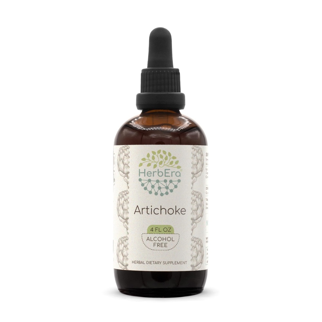 HerbEra Artichice B120 Alkoholicko-volný Bylinný extrakt Tinktura, Koncentrované tekuté kapky přírodní Artichak (Cynara scolymus) (4 fl oz)