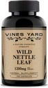 Wild Nettle Leaf Kapsle 124; Podporuje zdravou rovnováhu tekutin a moč Tract Issues 124; 100% přírodní organické Bylinné doplňky 1200mg 124; 100 Pack