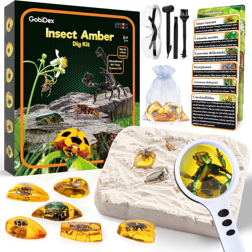 GobiDex Amber Dig Kit- Umělý hmyz Resin, Excavate 6 Insects Speciments, STEM Geographic Vzdělávací Bugs Hračky, Excavation Hračky pro zábavné Bugs Party Favors, Věda Kits pro děti Věk 6-8 8-12