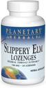 Planetární Herbals Slippery Elm Lozenges, Bylinná podpora hrdla, 24 Lozenge