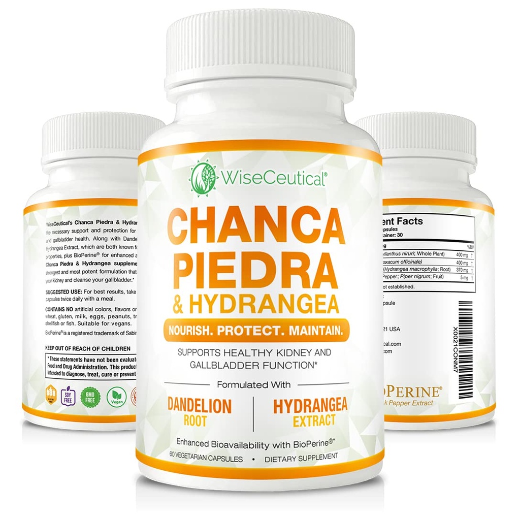 Max Strength Chanca Piedra, Hydrangea & Pampeliška Kořen - Přírodní ledviny & žlučník Formule - Kámen Breaker, Flush Nečistoty, Čisté močení Trakt - Vylepšený s BioPerine. 60 Veggie Kapsle.