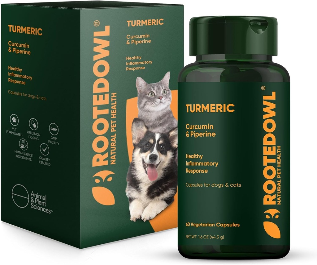Zakořeněný sovy kurkuma - Kurkumin, piperin a vitamín C pro anti- zánětlivou úlevu - 60 / ct