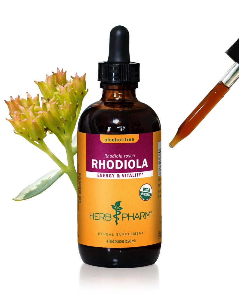 Herb Pharm Certified Organic Rhoddiola Root Extract for Energy, Endurance and Stamina, Alcohol- Free Glycerite, 4 Ounce