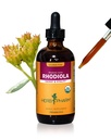 Herb Pharm Certified Organic Rhoddiola Root Extract for Energy, Endurance and Stamina, Alcohol- Free Glycerite, 4 Ounce