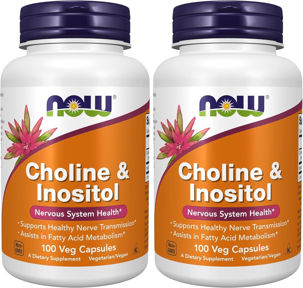 Nyní doplňky, Cholin & Inositol 500 mg, Zdravý Nerve Transmission *, Nervový systém Zdraví *, 100 Kapsle (Balení po 2)
