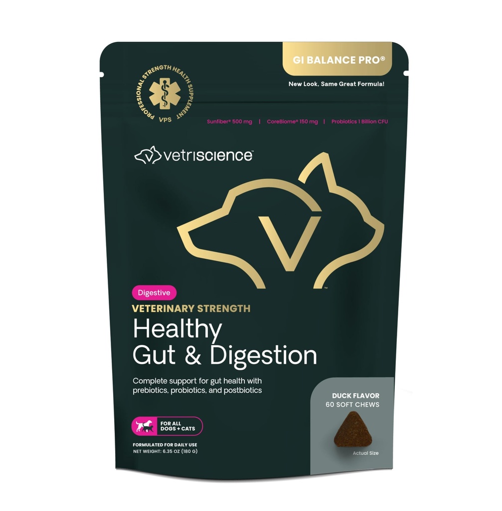 VetriScience Veterinary Strength Health Gut & Digestion - Pet Digestive Health Supplement for Cats & Dogs - Gut Health & Immunitary Support - Funkce Probiotika, Prebiotika a Postbiotika - 60 Počet