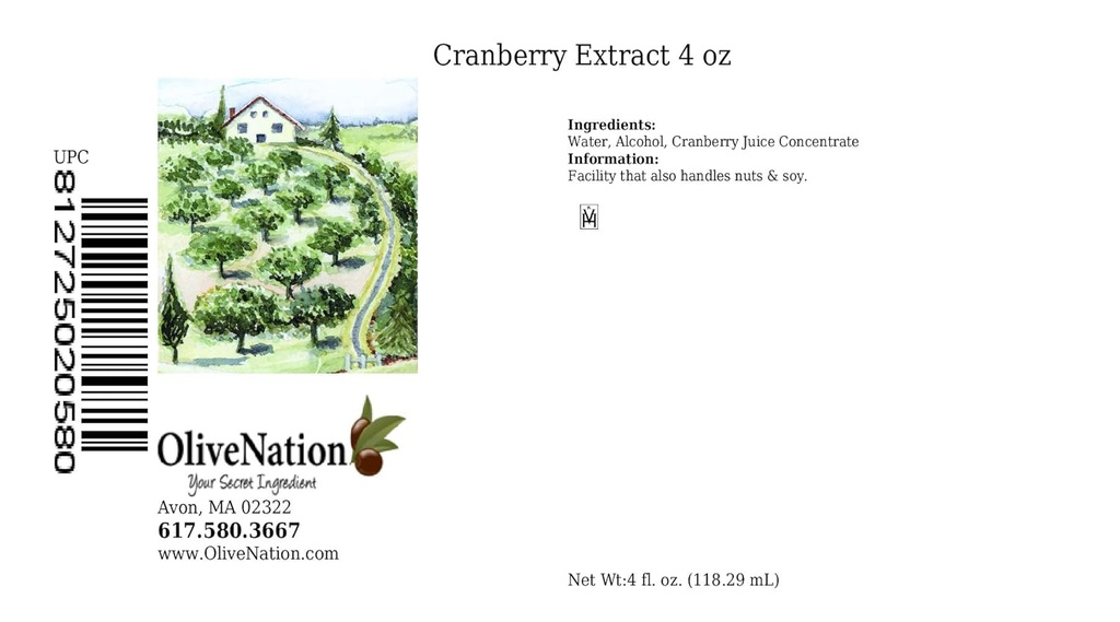 OliveNation Cranberry Extract - 4 unce - Přidejte bohatou chuť brusinek do muffinů, omáček a dresinků - pekařské extrakce a chutě