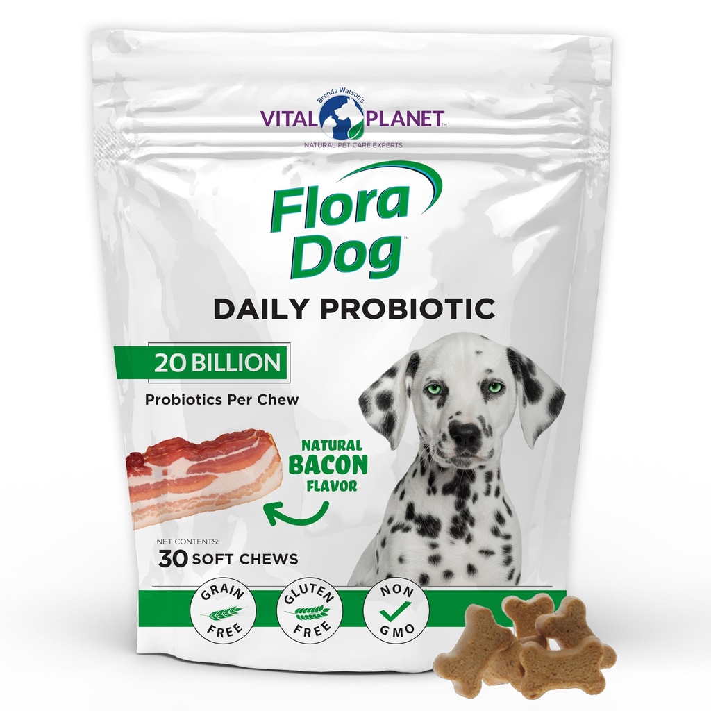 Vital Planet - Flora Dog Probiotika, Dog Chews Dodatek s 20 Billion kultury a 11 Strains, imunitní a stravovací podpora Žvýkací Probiotika pro psy, 30 Přírodní Bacon ochucené měkké Chews