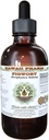 Figwort Alcohol- Free Liquid Extract, Organic Figwort (Scrophulara Nodosa) Sušený Herb Glycerite Hawaii Pharm Natural Herbal Dodatek 2 oz