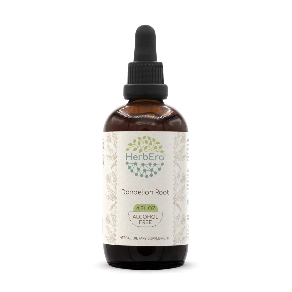 HerbEra Dandelion Root B120 Alcohol- Free Herbal Extract Tinkture, Super- Koncentrované Dandelion (Taraxacum Officinale) Sušená kořenová (4 fl oz)