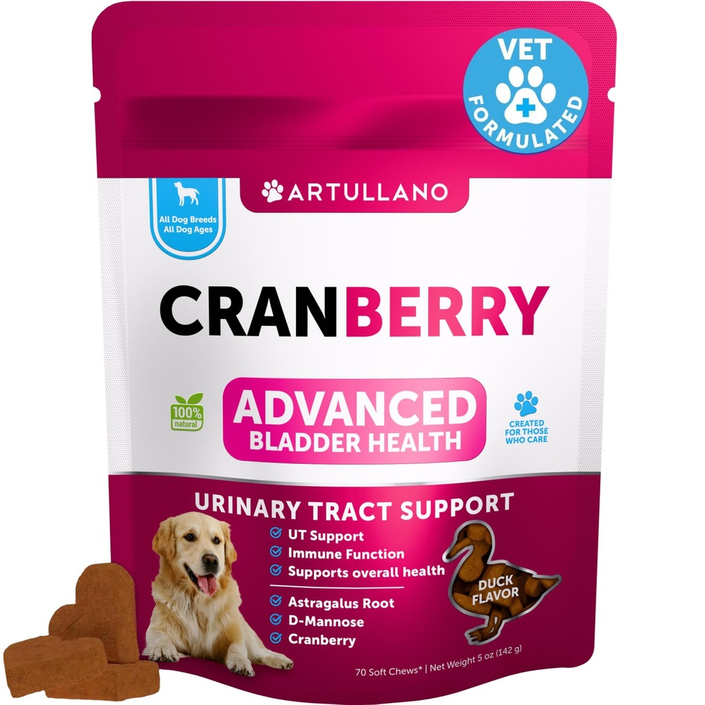 Psí UTI Léčba - Cranberry Doplněk & Kontrola močových měchýřů pro psy - Inkontinence moči Pill, Kameny močového měchýře - UTI léky - 70 měkkých žvýkaček pro podporu ledvin s rybím olejem
