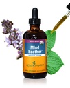 Herb Pharm Mind Soother: Holy Basil: Liquid Kava dodatek k podpoře klid a relaxace, stabilizační podpora pro nervový systém, Made with Noble Kava & Levender Flower, Vegan, gluten- Free, 4 oz *